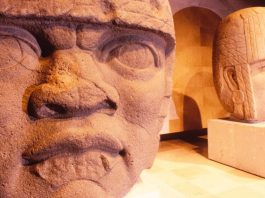 No hay dos iguales: Las colosales cabezas de piedra de los olmecas en México
