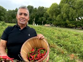 Una delicia rara cada vez más rara: Chimayo Red, el ‘chile santo’ de Nuevo México