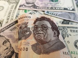 Peso mexicano opera con ganancias y perfila primera semana positiva en gobierno de Sheinbaum