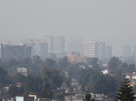 Activan Fase 1 de Contingencia ambiental en la Zona Metropolitana del Valle de México; reportan partículas PM2.5 | El Universal