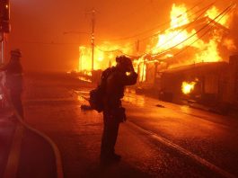 México elabora censo por desempleo y daños a connacionales tras incendios en California