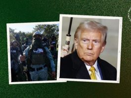 Esto pasaría con México si Trump declara a narcos como terroristas,segúnexperto