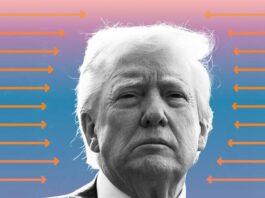 Inversión: estas industrias han sufrido más desde que Trump asume el cargo