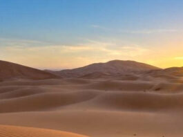¡China Hizo Este Milagro en Medio del Desierto! ¡Comienza un Nuevo Capítulo en la Historia de la Energía!