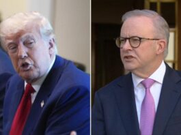 Anthony Albanese dice que chatea con Donald Trump «cálido y positivo»