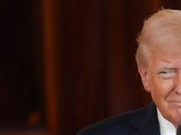 El menú Todo sobre impuestos de Trump