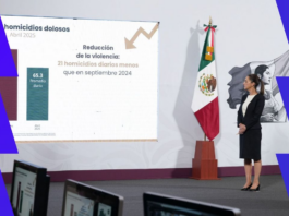 Menos balas, más calma: Sheinbaum presume 21 homicidios menos al día en todo el país